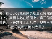 关于糖心vlog免费网页版最近突然被盯上，真相未必在明面上，真正值得聊的，不是热搜上那几句，现在再看前面的判断，确实太早了