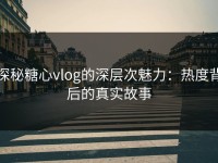 探秘糖心vlog的深层次魅力：热度背后的真实故事