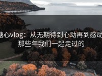 糖心vlog：从无期待到心动再到感动，那些年我们一起走过的