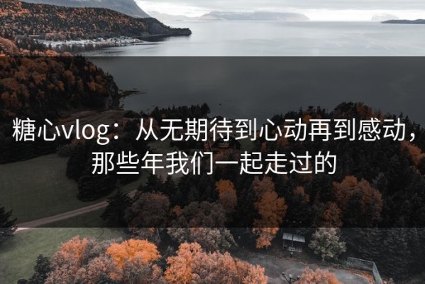 糖心vlog：从无期待到心动再到感动，那些年我们一起走过的