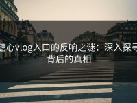 糖心vlog入口的反响之谜：深入探寻背后的真相