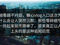 越看越不对劲，糖心vlog入口这次为什么会让人突然沉默：那些零碎细节一拼起来就不简单了，原来真正让人上头的是这种后知后觉