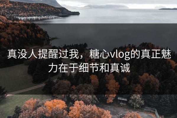 真没人提醒过我，糖心vlog的真正魅力在于细节和真诚