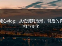 糖心vlog：从低调到热潮，背后的真相与变化