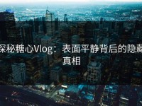 探秘糖心Vlog：表面平静背后的隐藏真相