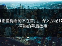真正值得看的不在首页，深入探秘17c与草碰的幕后故事