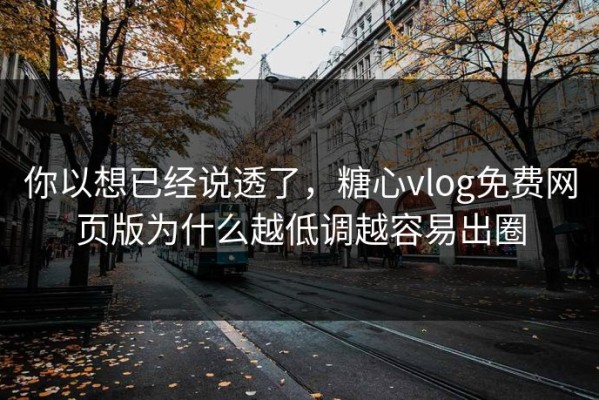 你以想已经说透了，糖心vlog免费网页版为什么越低调越容易出圈