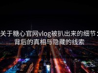 关于糖心官网vlog被扒出来的细节：背后的真相与隐藏的线索