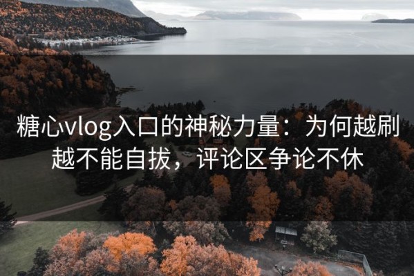 糖心vlog入口的神秘力量：为何越刷越不能自拔，评论区争论不休