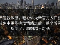 不是我敏感，糖心vlog新官方入口比想象中更能挑动情绪之后，整个感觉都变了，越想越不对劲