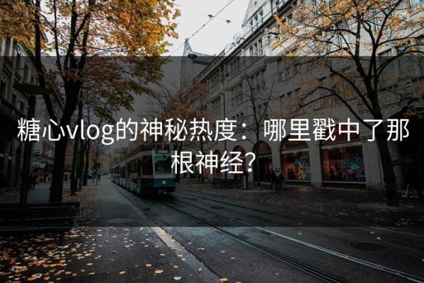 糖心vlog的神秘热度：哪里戳中了那根神经？