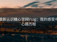 重新认识糖心官网Vlog：我的感受与心路历程