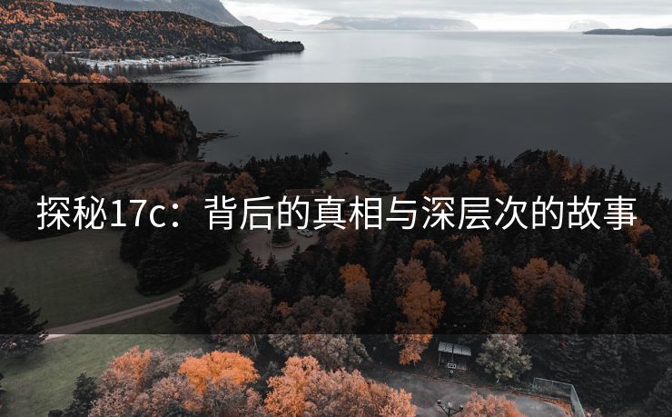 探秘17c：背后的真相与深层次的故事