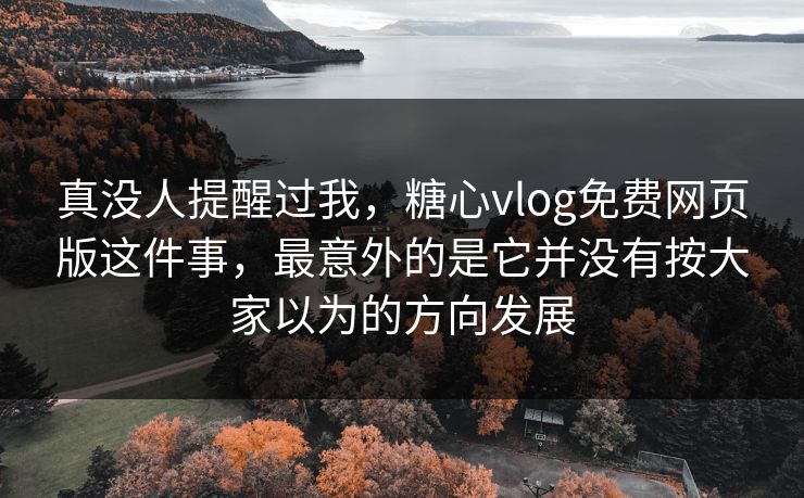 真没人提醒过我，糖心vlog免费网页版这件事，最意外的是它并没有按大家以为的方向发展