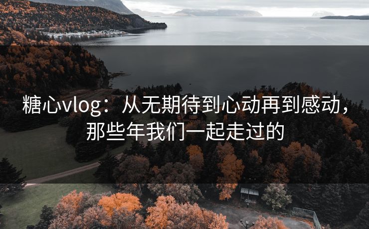 糖心vlog：从无期待到心动再到感动，那些年我们一起走过的
