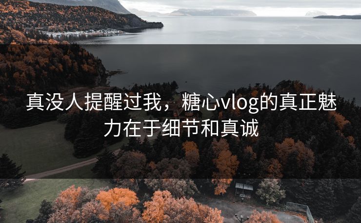 真没人提醒过我，糖心vlog的真正魅力在于细节和真诚
