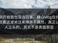 刚开始我也没当回事，糖心vlog在线观看这波关注来得并不偶然，真正让人上头的，其实不是表面那层