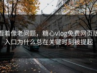 看着像老问题，糖心vlog免费网页版入口为什么总在关键时刻被提起