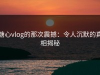 糖心vlog的那次震撼：令人沉默的真相揭秘