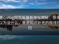 糖心vlog网页版最新地址揭秘：原来以为没什么，竟是知识补充的极佳回归