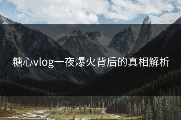 糖心vlog一夜爆火背后的真相解析