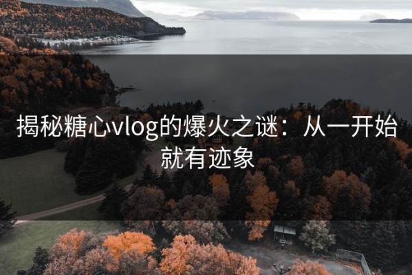 揭秘糖心vlog的爆火之谜：从一开始就有迹象