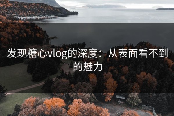 发现糖心vlog的深度：从表面看不到的魅力