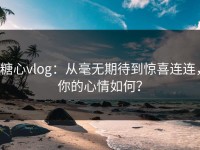 糖心vlog：从毫无期待到惊喜连连，你的心情如何？
