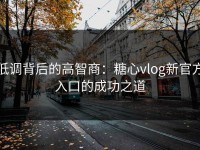 低调背后的高智商：糖心vlog新官方入口的成功之道