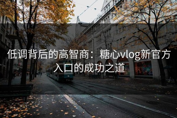低调背后的高智商：糖心vlog新官方入口的成功之道
