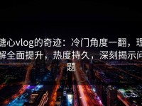 糖心vlog的奇迹：冷门角度一翻，理解全面提升，热度持久，深刻揭示问题
