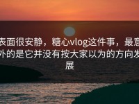 表面很安静，糖心vlog这件事，最意外的是它并没有按大家以为的方向发展