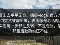 看上去平平无奇，糖心vlog新官方入口突然被翻出来，表面像是老话题，实则每一步都在反转，不是夸张，是那股后劲确实压不住