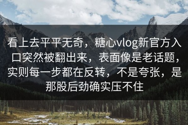 看上去平平无奇，糖心vlog新官方入口突然被翻出来，表面像是老话题，实则每一步都在反转，不是夸张，是那股后劲确实压不住