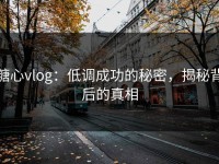 糖心vlog：低调成功的秘密，揭秘背后的真相