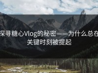 探寻糖心Vlog的秘密——为什么总在关键时刻被提起