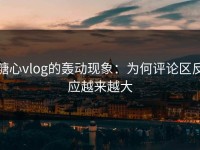 糖心vlog的轰动现象：为何评论区反应越来越大