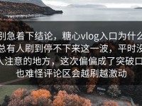 别急着下结论，糖心vlog入口为什么总有人刷到停不下来这一波，平时没人注意的地方，这次偏偏成了突破口，也难怪评论区会越刷越激动