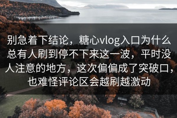别急着下结论，糖心vlog入口为什么总有人刷到停不下来这一波，平时没人注意的地方，这次偏偏成了突破口，也难怪评论区会越刷越激动