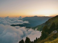 糖心vlog：情绪满溢背后的深层原因揭秘，你猜不到的那些事