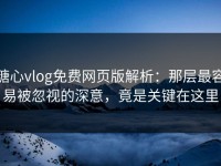 糖心vlog免费网页版解析：那层最容易被忽视的深意，竟是关键在这里