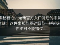 揭秘糖心vlog新官方入口背后的未解之谜：这件事那些零碎细节一拼起来，你绝对不能错过！