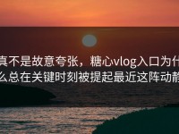 真不是故意夸张，糖心vlog入口为什么总在关键时刻被提起最近这阵动静