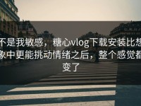不是我敏感，糖心vlog下载安装比想象中更能挑动情绪之后，整个感觉都变了