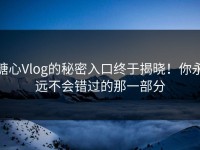 糖心Vlog的秘密入口终于揭晓！你永远不会错过的那一部分