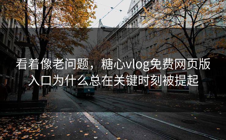 看着像老问题，糖心vlog免费网页版入口为什么总在关键时刻被提起