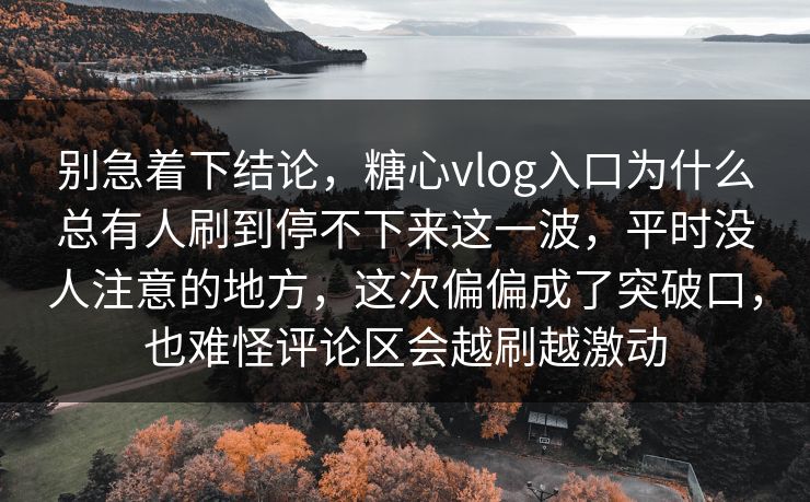 别急着下结论，糖心vlog入口为什么总有人刷到停不下来这一波，平时没人注意的地方，这次偏偏成了突破口，也难怪评论区会越刷越激动