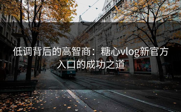低调背后的高智商：糖心vlog新官方入口的成功之道
